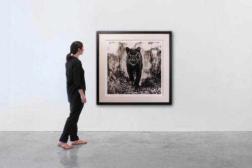 Lot 62 - David Yarrow (British b.1966) The Superhero...