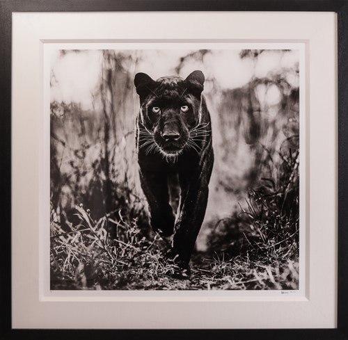 Lot 62 - David Yarrow (British b.1966) The Superhero...
