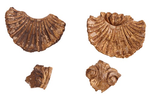 Lot 147 - English School, 19th century Portrait of A...