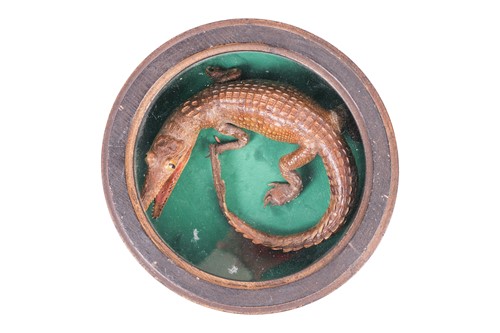 Lot A Victorian Taxidermy arrangement of a...