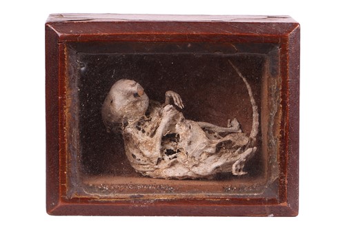 Lot 265 - A 19th century macabre curiosity, a mouse...