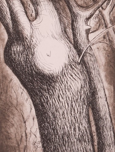 Lot 70 - Henry Moore (British 1898-1986) Trees (1979) -...