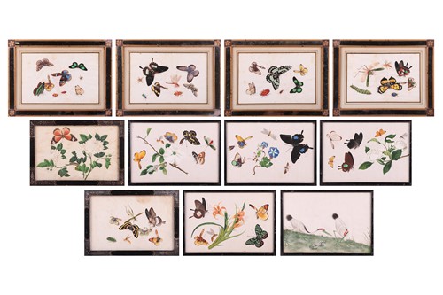 Lot Canton (Guangzhou) Export School, mid-19th...