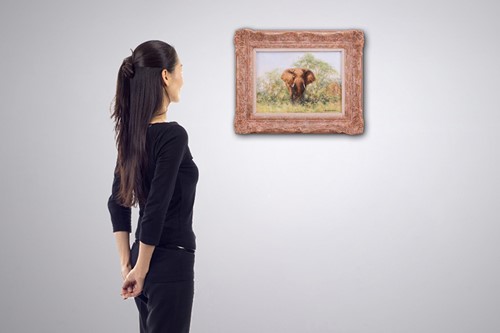 Lot 17 - David Shepherd (British 1931-2017) Bull...