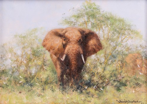 Lot 17 - David Shepherd (British 1931-2017) Bull...