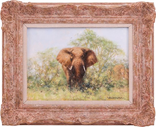 Lot 17 - David Shepherd (British 1931-2017) Bull...