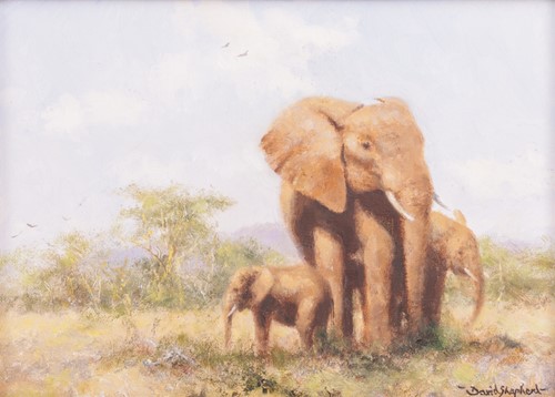 Lot 15 - David Shepherd (British 1931-2017) A Family of...