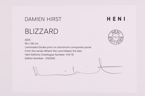 Lot Damien Hirst (British b.1965) Blizzard - Where...