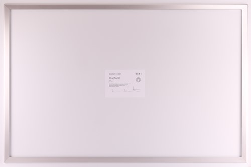 Lot Damien Hirst (British b.1965) Blizzard - Where...