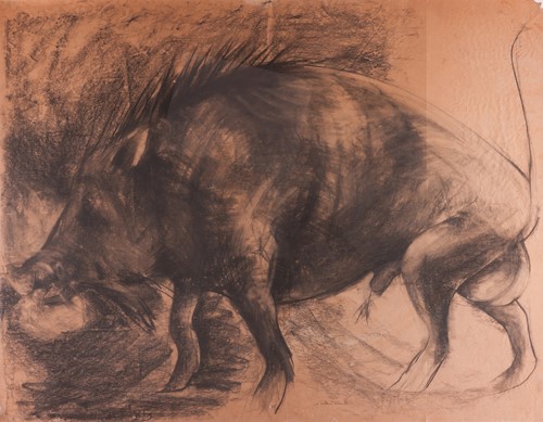 Lot 25 - Nicola Hicks (British b.1960) Hog Study signed...