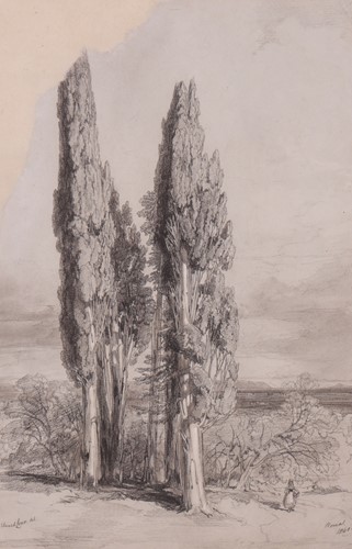 Lot 76 - Edward Lear (British 1812-1888) Study of the...