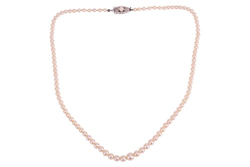 Lot 240 - Mikimoto - A single-strand cultured pearl...