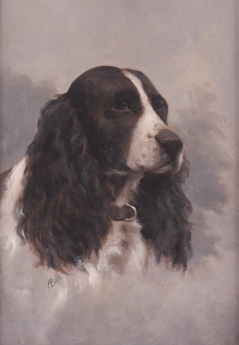 Lot 36 - British School (20th century) Spaniel Study...