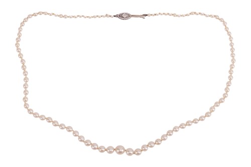 Lot 76 - A graduated single row of pearls, cream body...